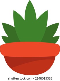 Aloe vera en olla, ilustración, vector sobre un fondo blanco.