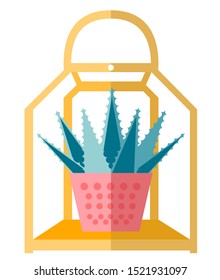 Aloe Vera in Pot. Plant Pot Holder