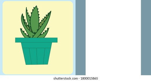 aloe vera prickly home useful plant potted cozy card double sided blue