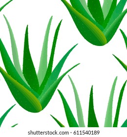 Aloe Vera seamless pattern. Aloe barbadensis., Star cactus, Aloin, Jafferabad or Barbados. Herbal medicine plant for skin and hair care, cosmetics, ointments, perfumery, wrapping, label, decoration