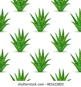 Aloe vera - seamless pattern with desert plants. Nature floral background with green succulent leaf. Wallpaper with plantation of aloe. Vector illustration
