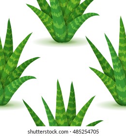 Aloe vera - seamless pattern with desert plants. Nature floral background with green succulent leaf. Wallpaper with plantation of aloe. Vector illustration