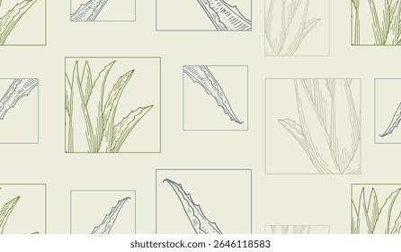 Aloe vera seamless pattern. Gentle packaging background. Natural cosmetics ingredient. Hand drawn ink sketch plant from package design. Ecology concept in beauty industry.