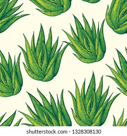 Aloe vera seamless pattern. Hand drawn vector illustration.
