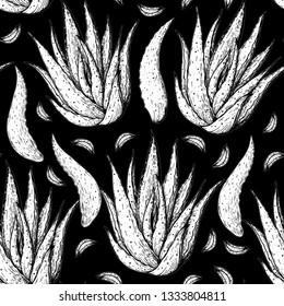 Aloe vera seamless pattern. Hand drawn vector illustration. Sketch design. 