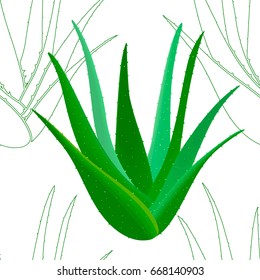 Aloe Vera seamless pattern whole and silhouettes. Aloe barbadensis, Star cactus, Aloin, Jafferabad. Herbal medicine plant for skin and hair care, cosmetics, ointments, perfumery, wrapping label
