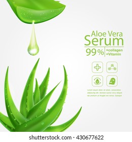 Aloe Vera Serum and Collagen Vitamin Skin Care Cosmetic Background Vector Concept .