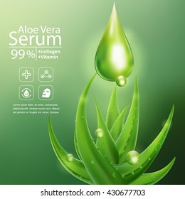 Aloe Vera Serum and Collagen Vitamin Skin Care Cosmetic Background Vector Concept .