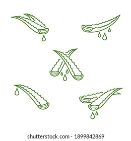 Aloe Vera set. Collection icon Aloe Vera. Vector
