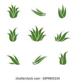 Aloe Vera set. Collection icon Aloe Vera. Vector