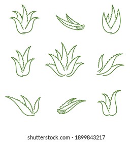 Aloe Vera set. Collection icon Aloe Vera. Vector