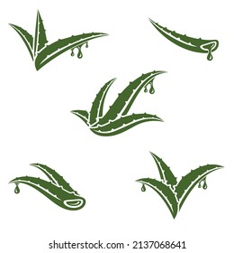 Aloe Vera set. Collection icon Aloe Vera. Vector