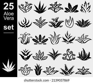 Aloe Vera set. Collection icon Aloe Vera. Vector