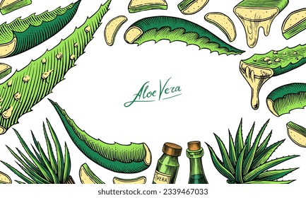 Aloe vera. Esbozo de la planta y el racimo y las hojas. Ingredientes para medicamentos a base de plantas o cosméticos. Esbozo de tinta veneciana dibujado a mano. Productos para etiqueta, publicidad, tipografía o pancarta, afiche 