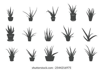 Aloe vera silhouette, Aloe vera vectors, Aloe plant silhouette, Aloe plant vectors