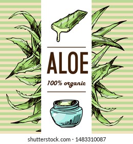 Aloe vera sketch vector  illustration. Hand drawn style. Good for cosmetic design.