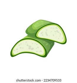 aloe vera slice cartoon. leaf gel, white plant, water cut, fresh beauty, cosmetic green organic aloe vera slice vector illustration