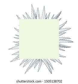 Aloe vera. Square frame. Medicinal and cosmetic plant. Hand drawn vector illustration in sketch style. 