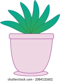 Aloe vera succulent plant in a pot - Illustration
