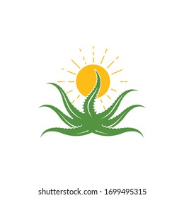 aloe vera with sun  logo icon vector illustration design template