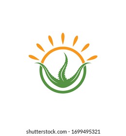 aloe vera with sun  logo icon vector illustration design template