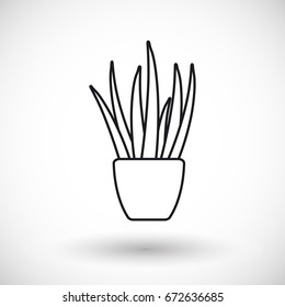 Aloe vera thin line web icon, Outline design of aloe vera plant with round shadow isolated on the white background, vector illustration