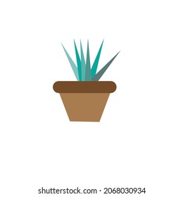 Aloe Vera tree on pot minimalist vector image