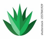 aloe vera tree vector icon with white background