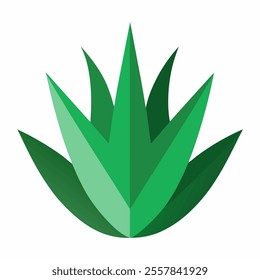 aloe vera tree vector icon with white background