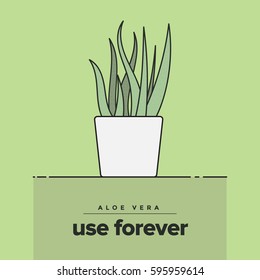 aloe vera use forever. aloe vera message. vector illustration aloe vera plant.