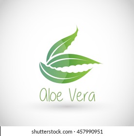 Aloe Vera vector 