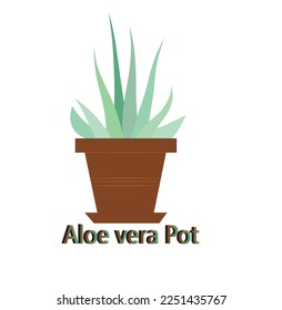 it is aloe Vera vector graphic design