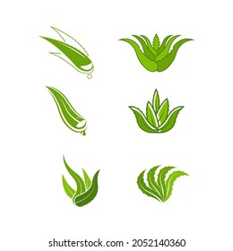 Plantilla de ilustración de diseño de icono de Aloe Vera