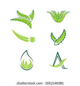 Aloe Vera Vector icon design illustration Template