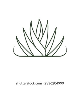 Aloe vera vector icon design. Herbal leaves organic logo.