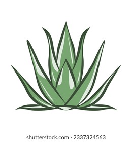 Aloe vera vector icon design. Herbal leaves organic logo.