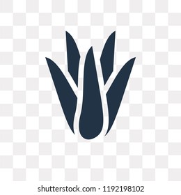 Aloe Vera vector icon isolated on transparent background, Aloe Vera transparency concept can be used web and mobile
