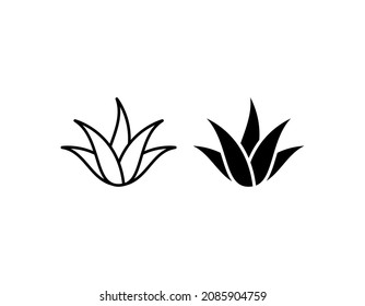 icono vectorial aloe vera aislado en fondo blanco