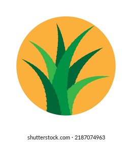 Aloe Vera vector icon. Aloe Vera logo. Aloe Vera in circle vector illustration. 