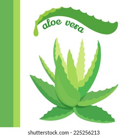 aloe vera vector icon set