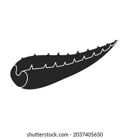 Icono vectorial Aloe vera.Icono vector negro aislado en aloe vera de fondo blanco.