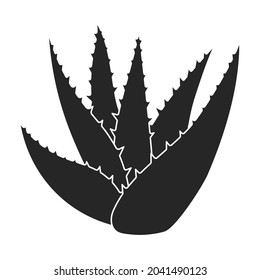Icono vectorial Aloe vera.Icono vector negro aislado en aloe vera de fondo blanco.