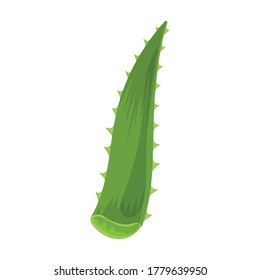 Aloe vera vector icon.Cartoon vector icon isolated on white background aloe vera.