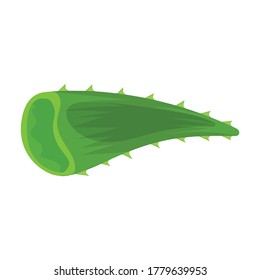 Aloe vera vector icon.Cartoon vector icon isolated on white background aloe vera.