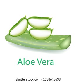 ALOE VERA vector illustration
