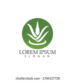 Aloe vera vector illustration design icon template
