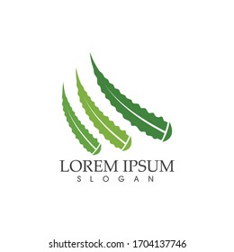 Aloe vera vector illustration design icon template