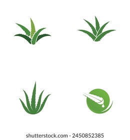 Aloe vera vector illustration design icon template
