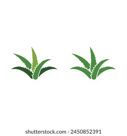 Aloe vera vector illustration design icon template
