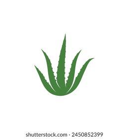 Aloe vera Ilustración vectorial diseño icono Plantilla